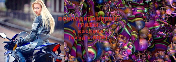 ГАЛЛЮЦИНОГЕННЫЕ ГРИБЫ Алексеевка