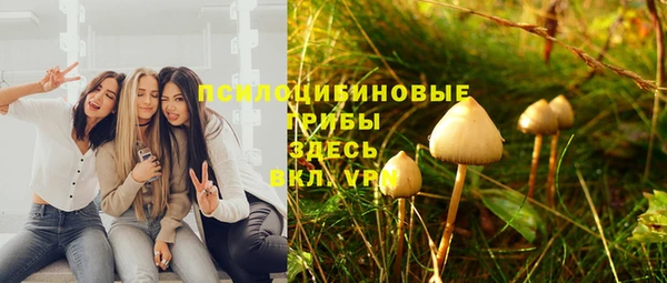 ГАЛЛЮЦИНОГЕННЫЕ ГРИБЫ Алексеевка