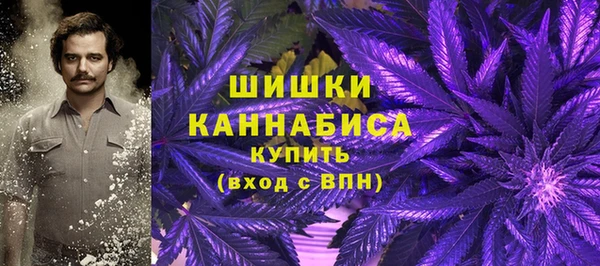 ГАЛЛЮЦИНОГЕННЫЕ ГРИБЫ Алексеевка