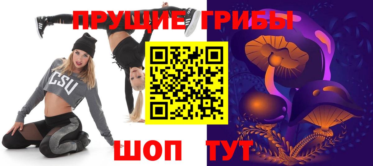 Псилоцибиновые грибы Psilocybe  Вход с VPN  Новокузнецк 