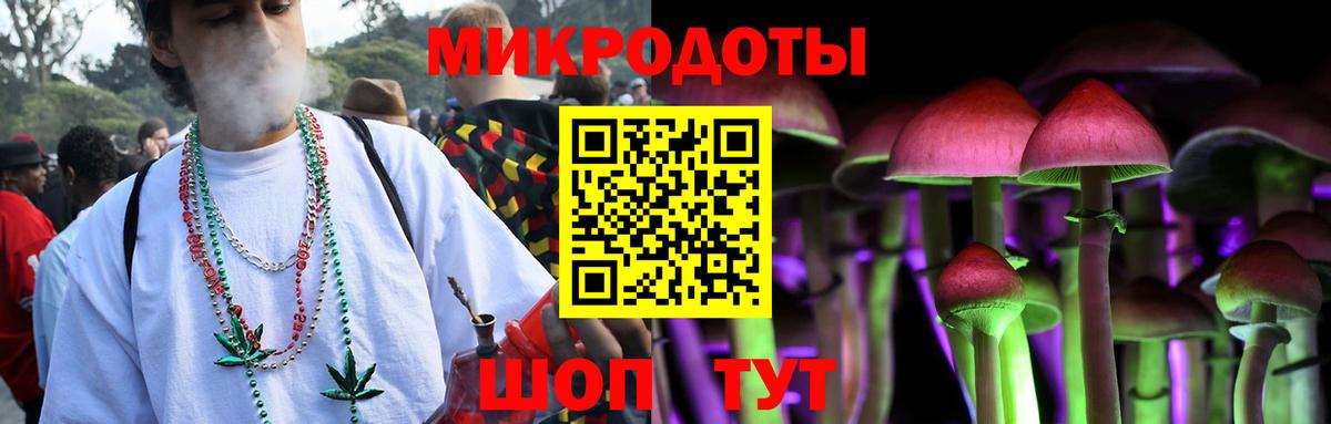 Псилоцибиновые грибы Psilocybine cubensis Новокузнецк